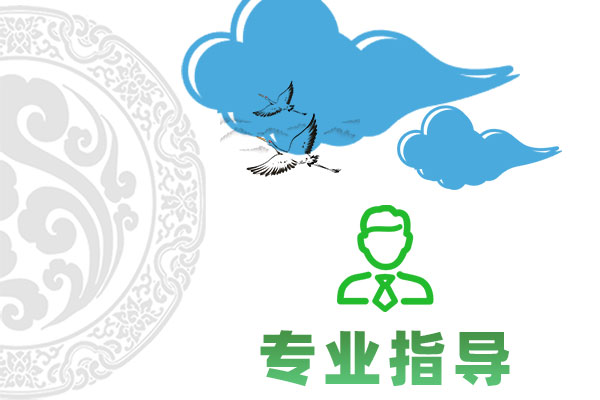 专业指导