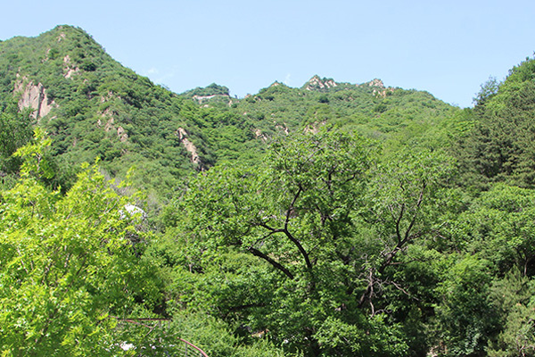 北京墓园水聚水曲方为美