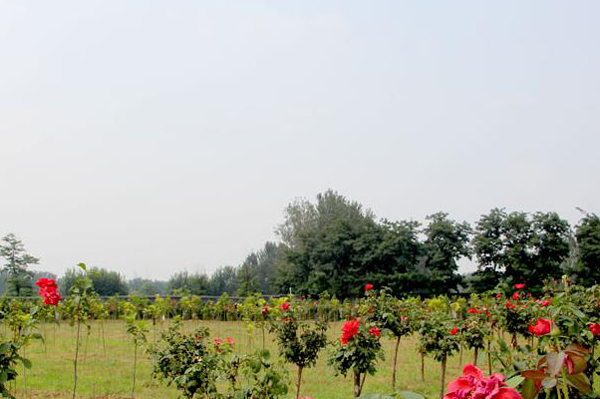 北京墓地阴宅风水的安葬方法