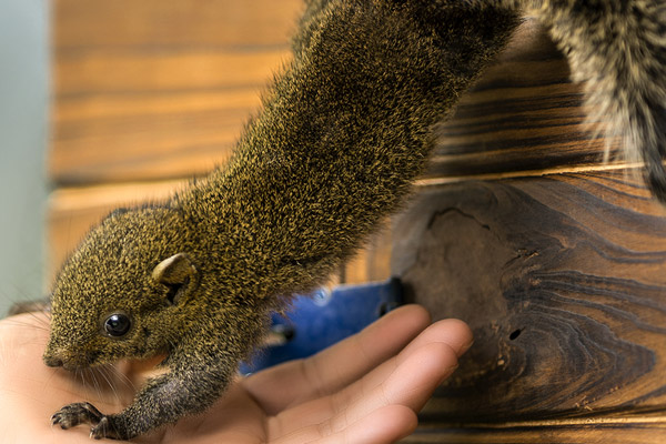 北京及周边公墓接待客户时的沟通原则与方法 北京及周边公墓接待客户时的沟通原则与方法