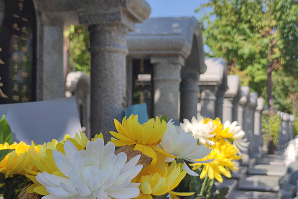 北京墓地花葬和树葬的安葬流程是怎样的？它们各自的优势是什么？