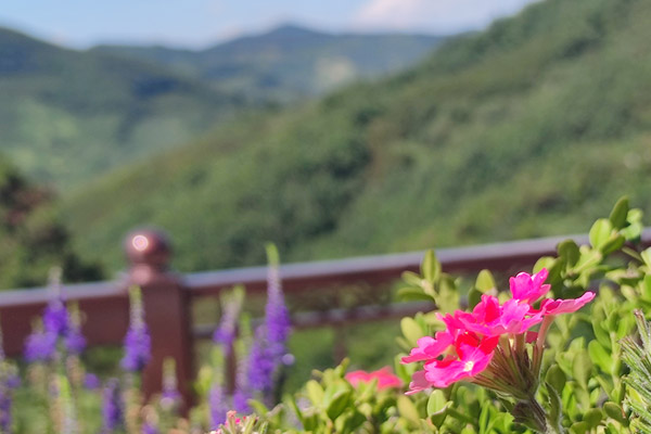 北京陵园草坪葬深度介绍：融入自然，宁静致远