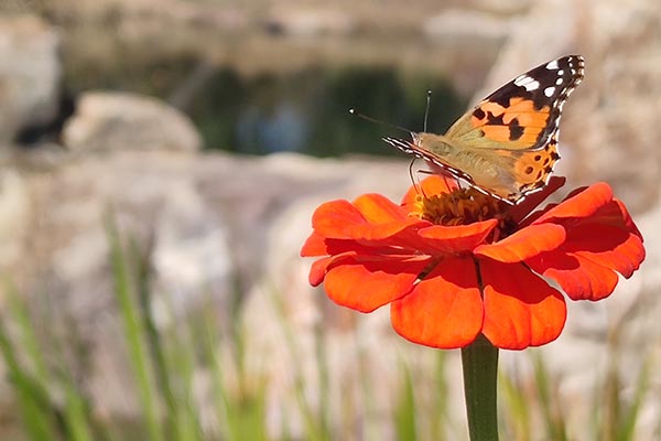 北京墓地使用年限到期后该如何处理？