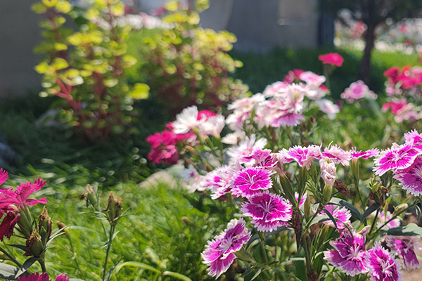 单独北京陵园的个性化定制：如何打造专属纪念空间？