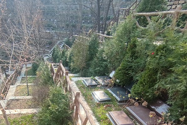 北京墓园树葬服务详解：让生命回归自然