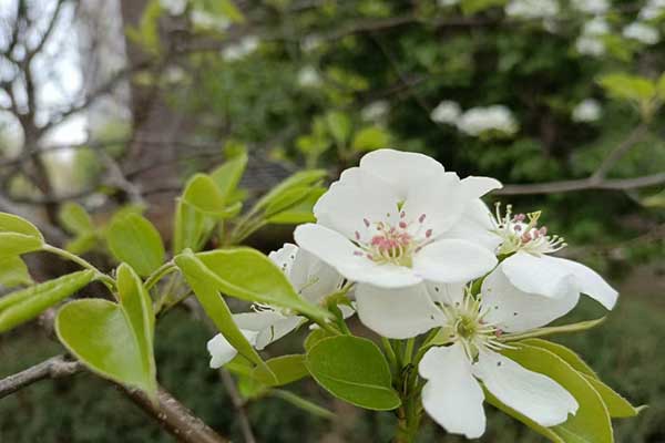 人选择公墓要生辰八字吗？北京墓地选择是否需要八字匹配？