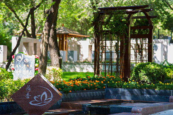 北京墓地花葬和树葬的安葬流程是怎样的？它们各自的优势是什么？