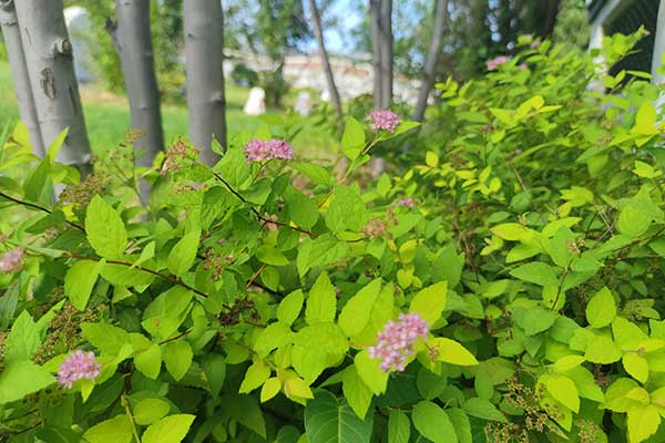 北京陵园 北京陵园