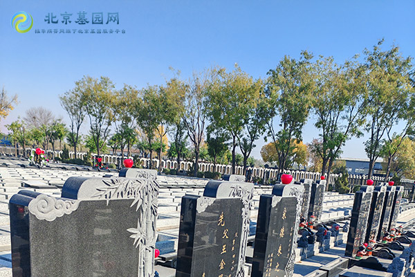 购买北京墓地的基本条件是什么？
