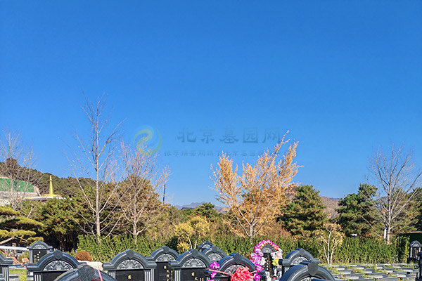 北京墓园价格清明选墓全攻略：预算、风水、流程、避坑一网打尽（2026惠民版）