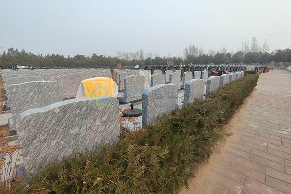 北京陵园坟前多远不能有树?传统习俗与实际建议的解读 北京陵园坟前多远不能有树?传统习俗与实际建议的解读