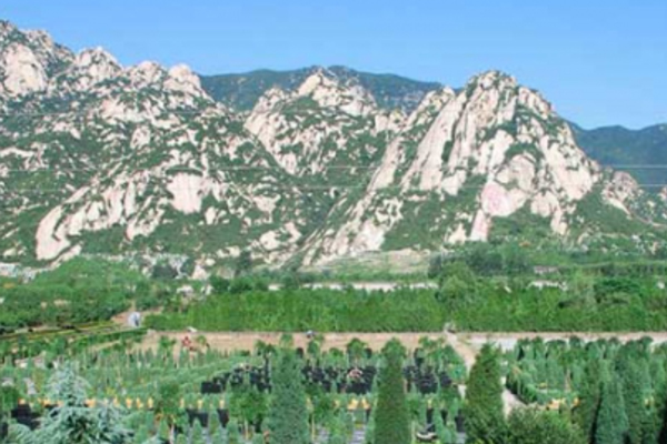 在阴宅风水上看,该怎么选择北京公墓 在阴宅风水上看,该怎么选择北京公墓