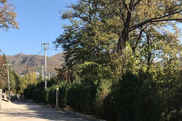 北京墓园网:人生驿站送行者! 北京墓园网:人生驿站送行者!