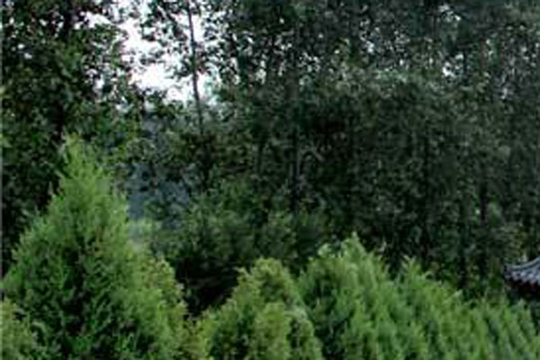 北京墓园做好管理至关重要 北京墓园做好管理至关重要