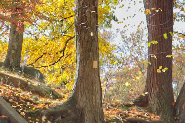 好的沈北京地风水的征兆和布局