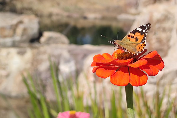 北京墓地园林艺术的表现法则 北京墓地园林艺术的表现法则