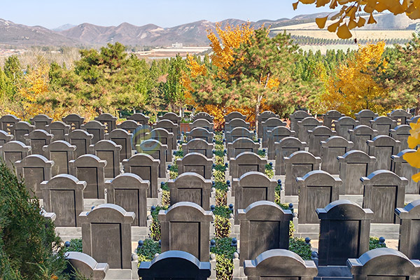 北京墓园价格清明选墓全攻略：预算、风水、流程、避坑一网打尽（2026惠民版）