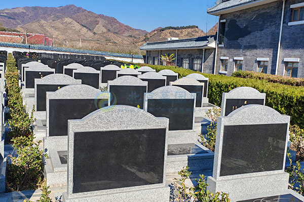 北京墓园价格清明选墓全攻略：预算、风水、流程、避坑一网打尽（2026惠民版）